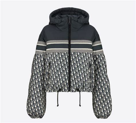 dior winter jacket ski collection|Dior ready to wear jackets.